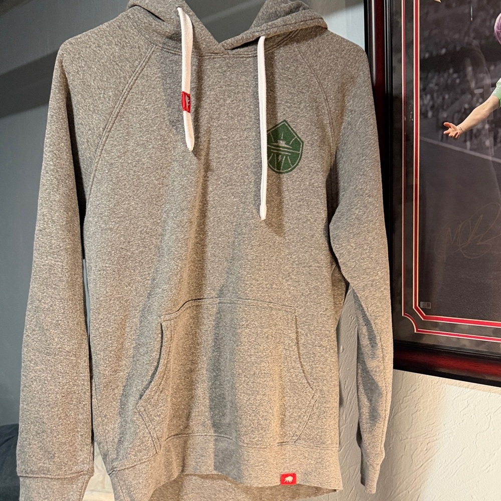 Charcoal Gray Hoodie with Logo